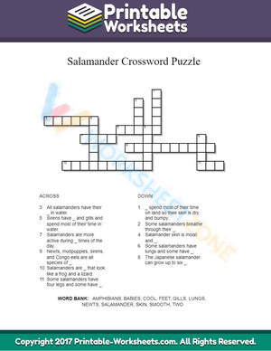 Animals Salamanders Crossword