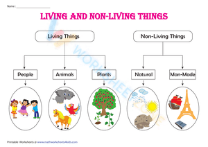 Classification chart