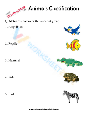 Classification worksheet