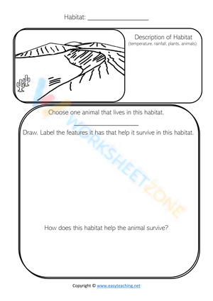 Describe a Habitat: Desert