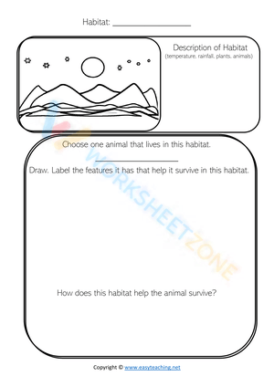 Describe a Habitat: Tundra