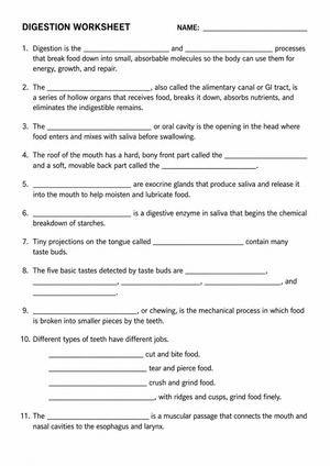 Digestive System Worksheet | Grade 6-8 Science Printable