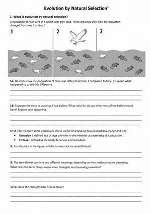 Essential Natural Selection Worksheet | Grade 7 Science