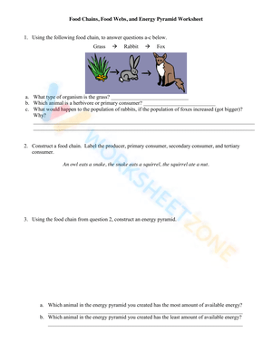 Explore Food Chains, Webs, and Energy Pyramids Worksheet