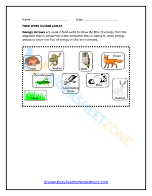 Food web with guided lesson