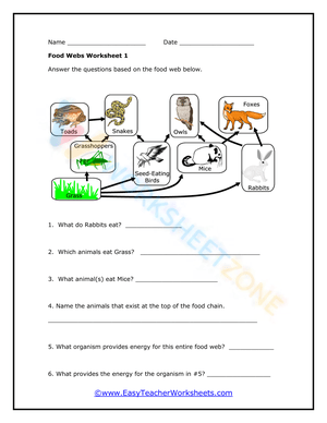 Food web worksheet 1