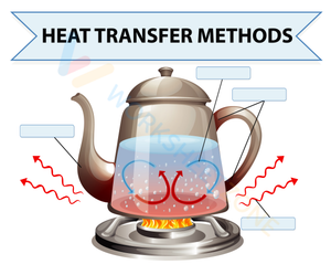 Heat Transfer Methods Worksheet | Grade 6 Essential