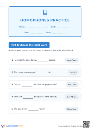 Homophones Practice Worksheet | Grade 4 Essential