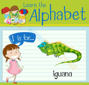 I is for Iguana