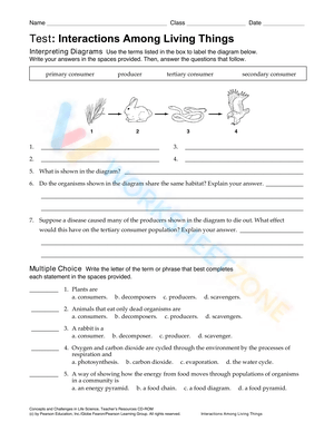 Interactions Among Living Things