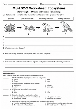 MS-LS2-2 Worksheet: Ecosystems — Grade 7 Aligned