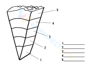 Grade 4-6 Layers of the Earth — Printable No-Prep Worksheet