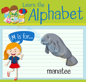 letter b beginning sound worksheets 24