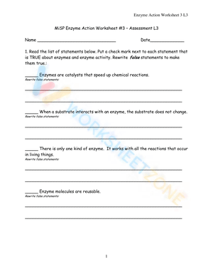 MiSP Enzyme Action Worksheet
