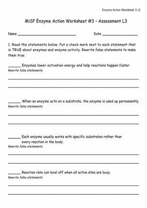Printable Enzyme Action Worksheet (3 Levels) | Grade 8