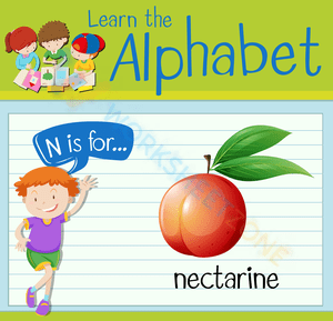 N is for Nectarine
