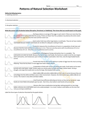 Patterns of Natural Selection Worksheet