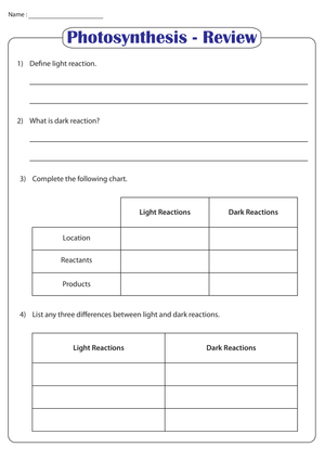 Photosynthesis Review Worksheet | Grade 9-12 Printable