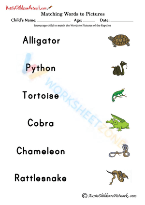 picture word matching 11