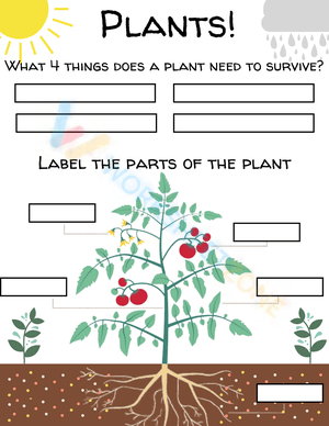 Planting worksheet