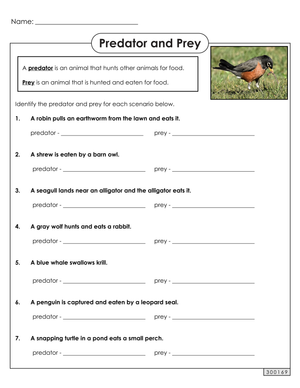 Predator and Prey Worksheet | Grade 4 Essential Science