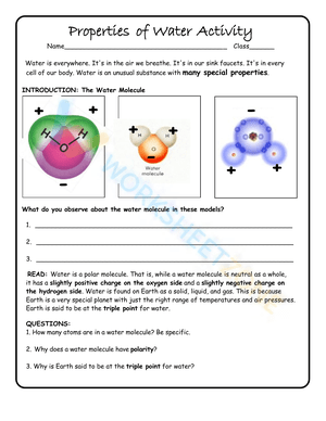 Properties of Water Activity Worksheet