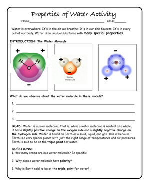 Properties of Water Activity Worksheet