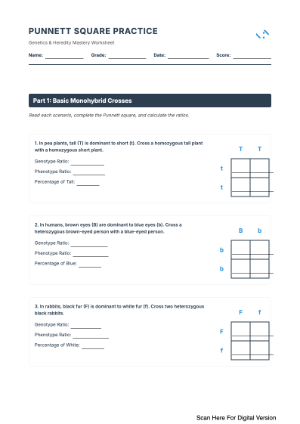 Practice with Punnett Square Practice Worksheet