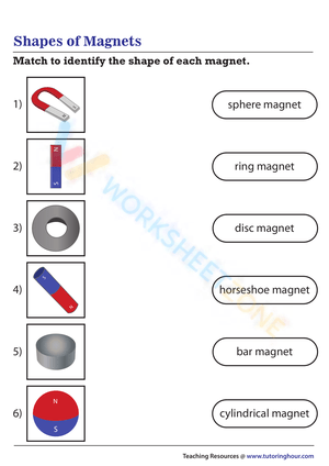 Shapes of Magnets