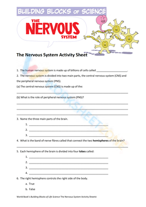 The nervous system