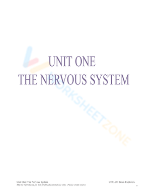 THE NERVOUS SYSTEM BOOKLET