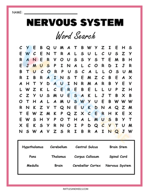 The Nervous System Word Search