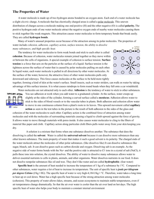 Grade 9 Properties of Water — Printable No-Prep Worksheet