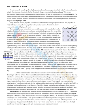 The Properties of Water