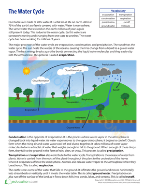 The Water Cycle | Grade 3 Science Worksheet
