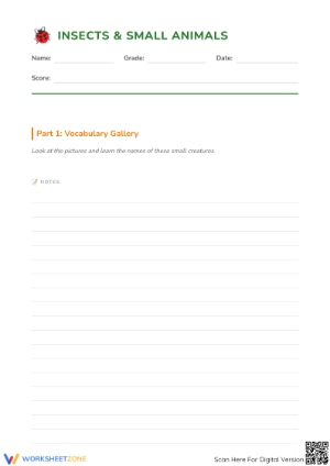 Insect Vocabulary Worksheet | Grade 2 Printable