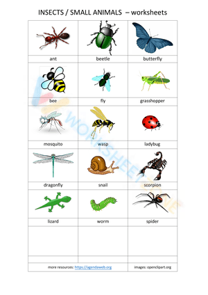 vocabulary worksheets 3