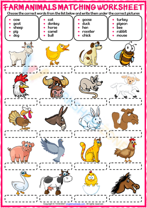 vocabulary worksheets 4