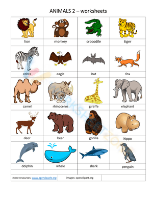 vocabulary worksheets 6