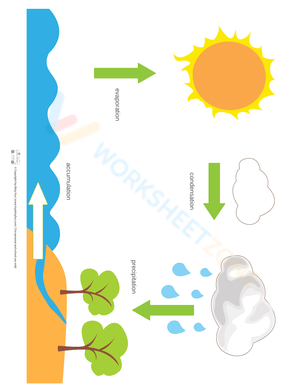 Water cycle