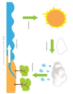 Water Cycle Worksheet (3 Levels) | Grade 5 Ready