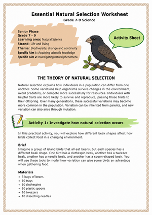 Printable Natural Selection Worksheet | Grade 7-9 Science