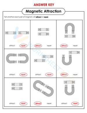 Magnetic Attraction Worksheet | Grade 5-9 Essential