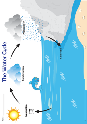 Water Cycle Chart: Essential 4-Step Process | Grade 2