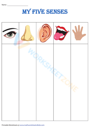 My five senses - Column template