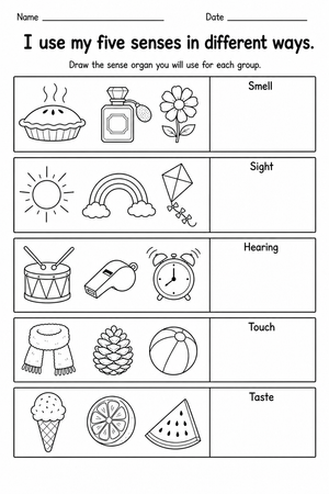 Grade 2 Five Senses — Printable No-Prep Worksheet