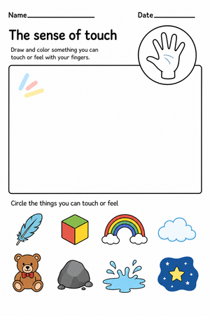 Essential Sense of Touch Worksheet | Grade 1 Science