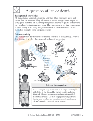 Life Processes of Living Things Worksheet