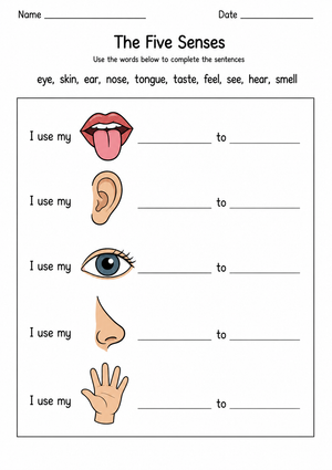 Printable 5 Senses Worksheet | Grade K Science
