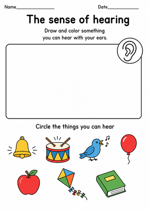 Essential Grade K Sense of Hearing No-Prep Worksheet
